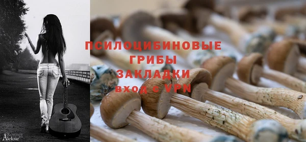 PSILOCYBIN Бронницы