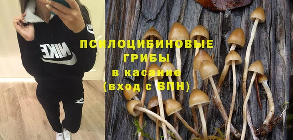 герыч Сафоново